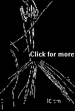 roof like figure