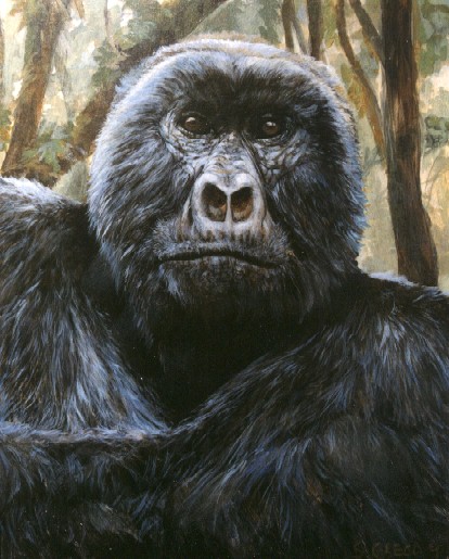 Digit the Gorilla