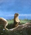 River Otter