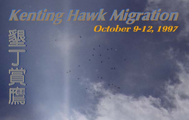 Kenting Hawk Migration