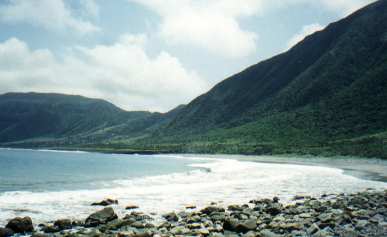 Orchid Island