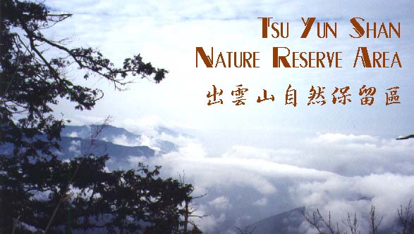 Tsu Yun Shan means cloudy mountain.