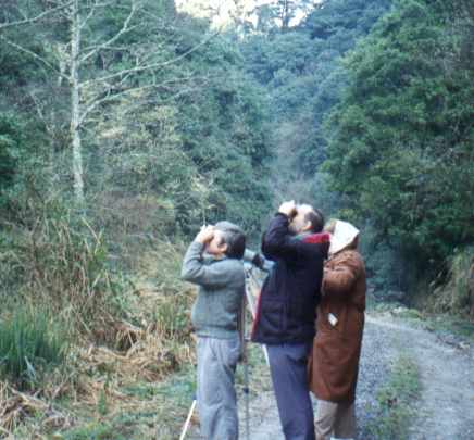 The teachers looking at birds.