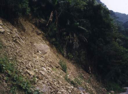Landslide