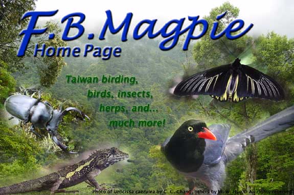F.B.Magpie Home Page