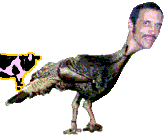Hello I am a Totally Wild Animal :+)