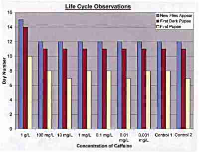 Life Cycle Observations (caffeine in food)