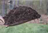 A close up on the mulch that I used