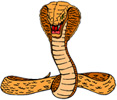Cobras. Gif personal, no copiar