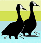 Logo for Friends of Nylsvley 