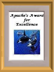 Apache's Excellence Award