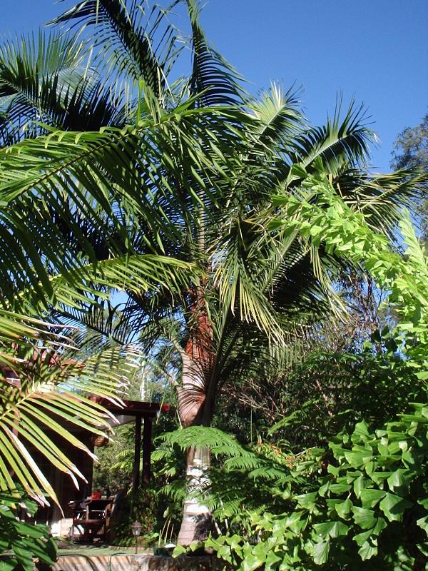 Hybrid In May '04