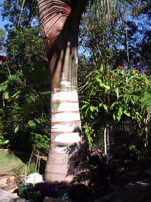 Hybrid In May '04