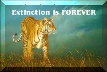 Extinction is forever