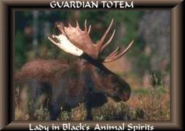 moose