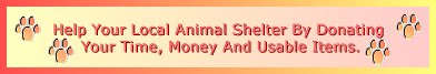 Support your local shelter