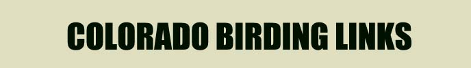 Colorado Birding Links