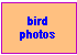 Photo's Page