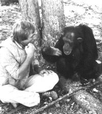 Roger Fouts and Washoe