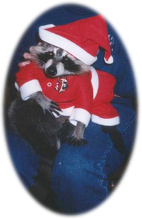 Santa's Little Helper