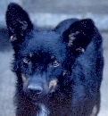 Yuki