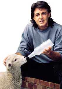 Paul McCartney
