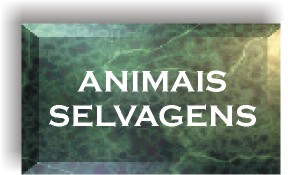 Selvagens