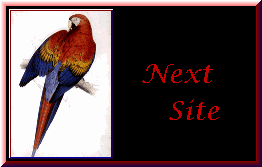 Next Animal's Voice Ring Site