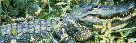 [CROCODILES SEQUENCE]