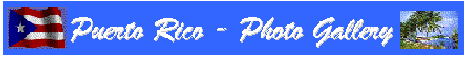 [My Son's Page Banner]