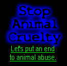 [Stop animal Cruelty]