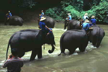 Jumbos turn around.