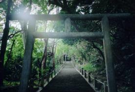 Torii Gate to a shrine on Ikea Island, Okinawa