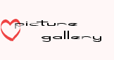 picture gallery