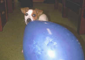 it's my balloon !!!!!!!!