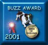 Buzz Award