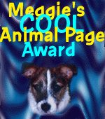 Meggies Award