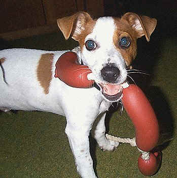 These are my sausages............... not yours so leave me alone!