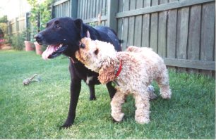 Buster and Wally!