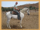 wp1ffbc6d3_0f.jpg