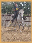 wp694e3f18_0f.jpg