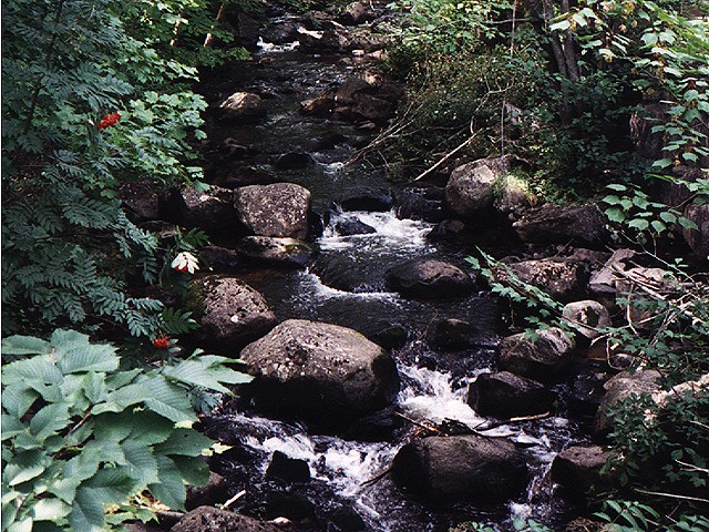 Water over Rocks 