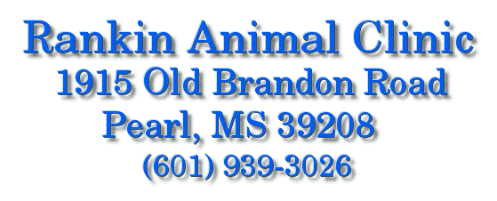 Rankin Animal Clinic, Pearl Mississippi