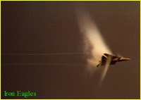 F-14 Tomcat
