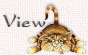 View my Guestbook