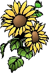 sunflower.gif (7399 bytes)
