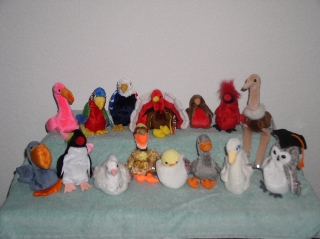 Birds