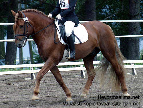 Tuuli