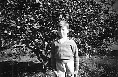 Alan and lemon tree 