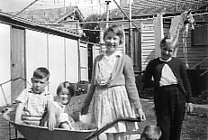 wheelbarrow